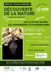 Conférence et sortie nocturne : les chauves-souris, ces mammifères extraordinaires