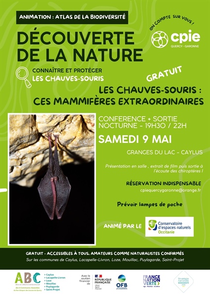 Conférence et sortie nocturne : les chauves-souris, ces mammifères extraordinaires