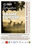 Sortie Nature Brame du Cerf