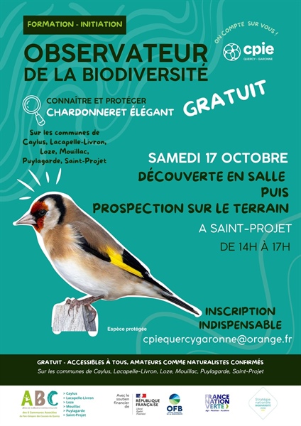 Connaitre et protéger le chardonneret élégant