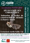 Atelier construction nichoirs à chauve-souris