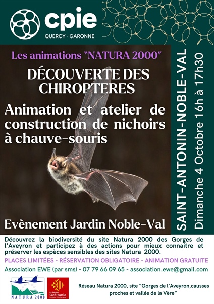 Atelier construction nichoirs à chauve-souris