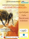 Exposition Le Génie des abeilles Samedi 25 et dimanche 26 juin Caylus- Place du lavoir