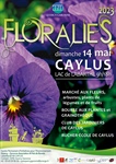 Les Floralies de Caylus Dimanche 14 mai 2023