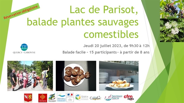 Découverte des plantes sauvages comestibles - Lac de Parisot - Jeudi 20 juillet 2023 - 9h30-12h