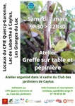 Atelier d'initiation greffe sur table  - Club des Jardiniers - Samedi  2 mars matin  - Caylus