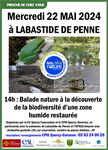 À la découverte de la biodiversité d'une zone humide restaurée