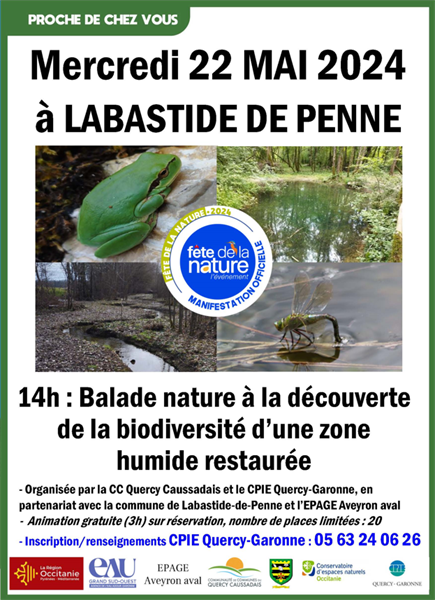 À la découverte de la biodiversité d'une zone humide restaurée